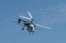 repulonap_asc_4760.jpg