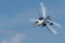 repulonap_asc_4912.jpg