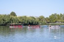 Sarkanyhajo_Fesztival-0158.jpg
