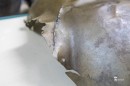  Bronzkori_pancel-0126.JPG