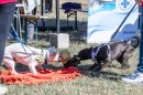 Allatvedelmi_Nap-0417.JPG