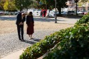 aradivértanúk-12.jpg