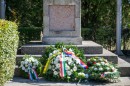 Koszoruzas_Halesz-0062.JPG