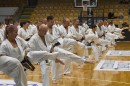 karate50 34.jpg