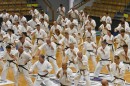 karate50 38.jpg