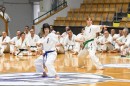 karate50 41.jpg