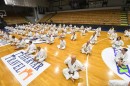 karate50 18.jpg