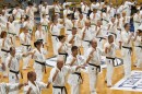 karate50 29.jpg