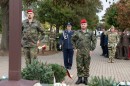 nemet_dsc_1982.jpg