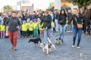  Ujraelesztes_Vilagnapja-0068.JPG