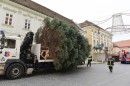 Karacsonyfa_erkezese-0060.jpg