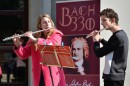 Bach_330-0061.jpg