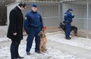 Rendőrkutyák Székesfehérváron