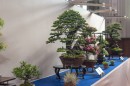 bonsai_suiseki_05.jpg
