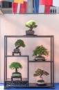 bonsai_suiseki_12.jpg