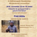 2016.november 22. ham.jpg